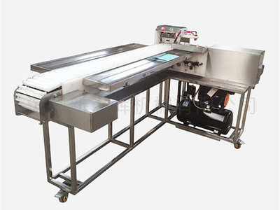 連(lian)續自動型穿串機(jī)