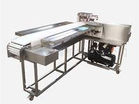 連(lian)續自動型(xing)穿串機