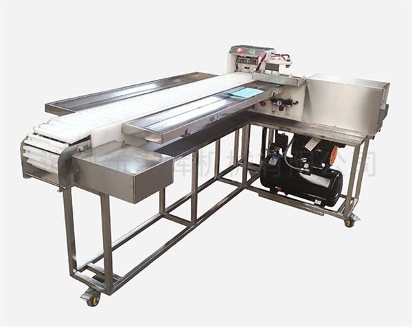 連續自(zì)動型穿串(chuàn)機